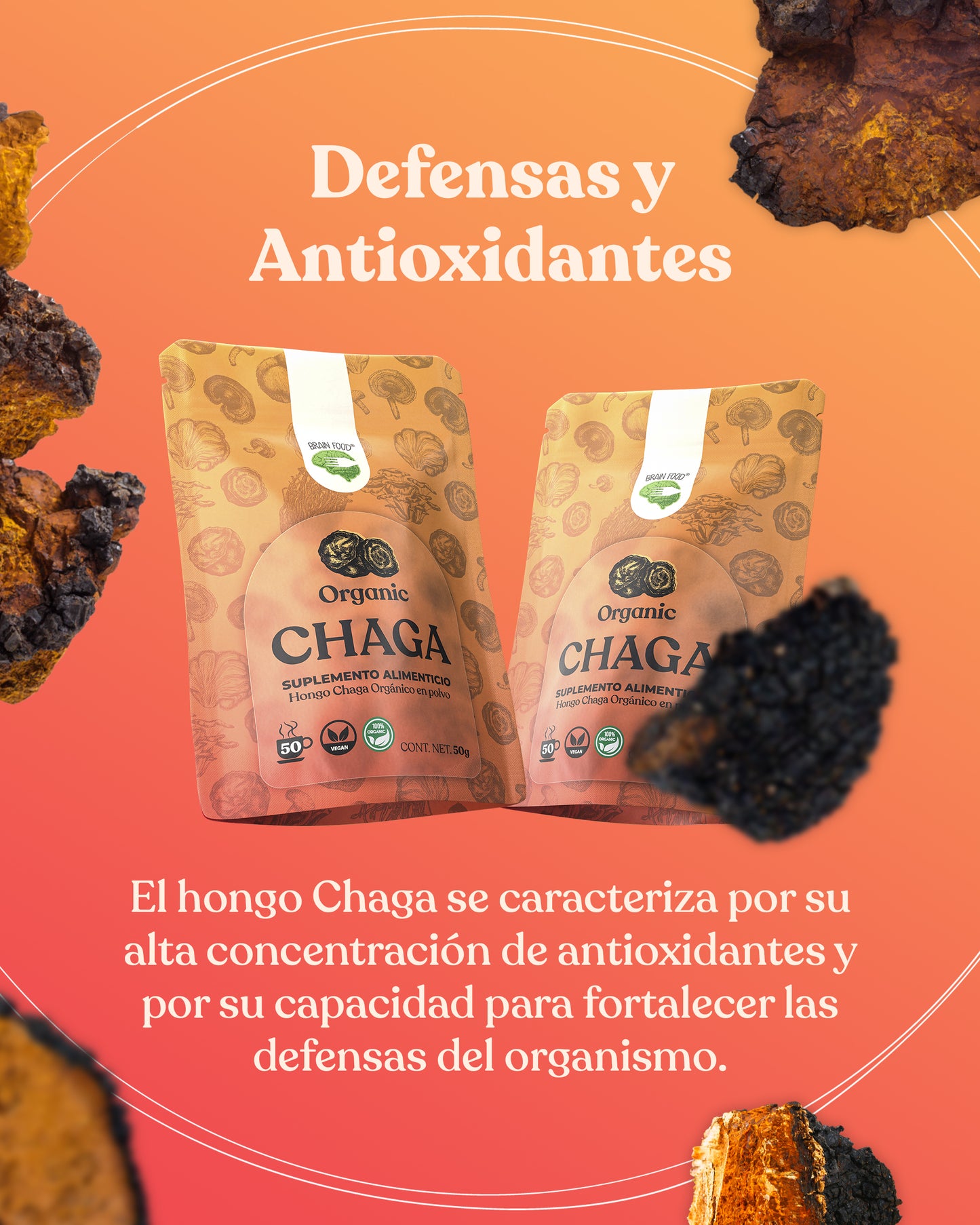 Chaga