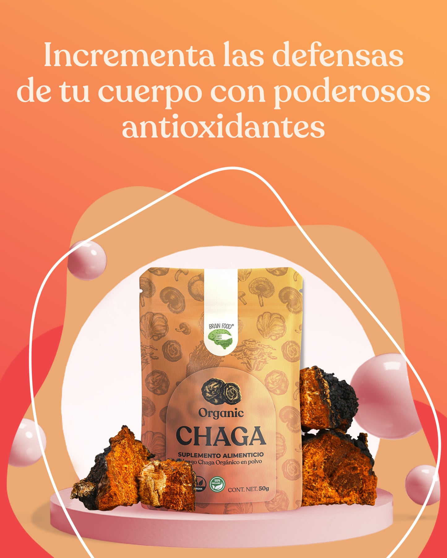 Chaga