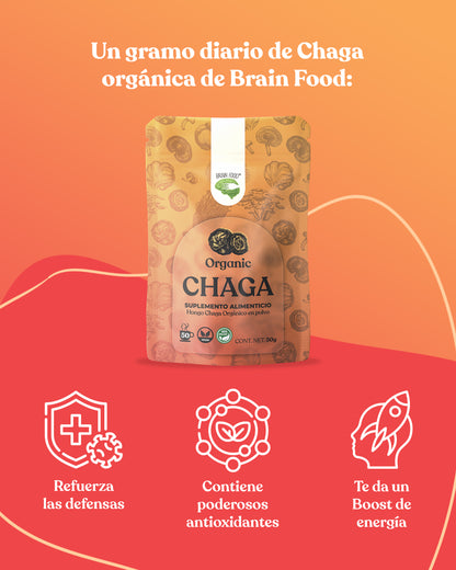 Chaga