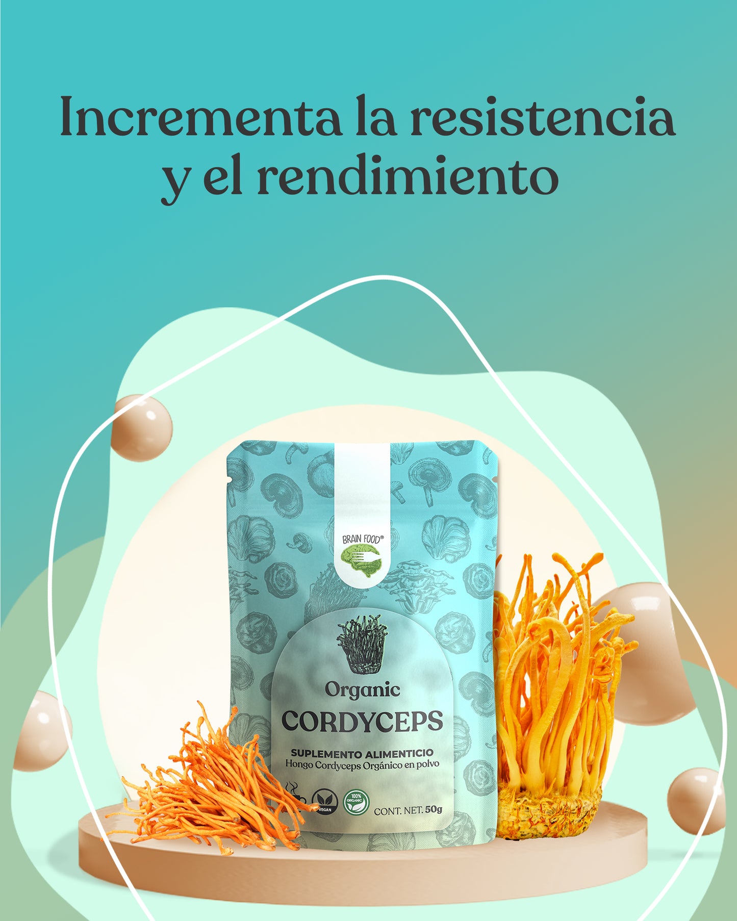 Cordyceps