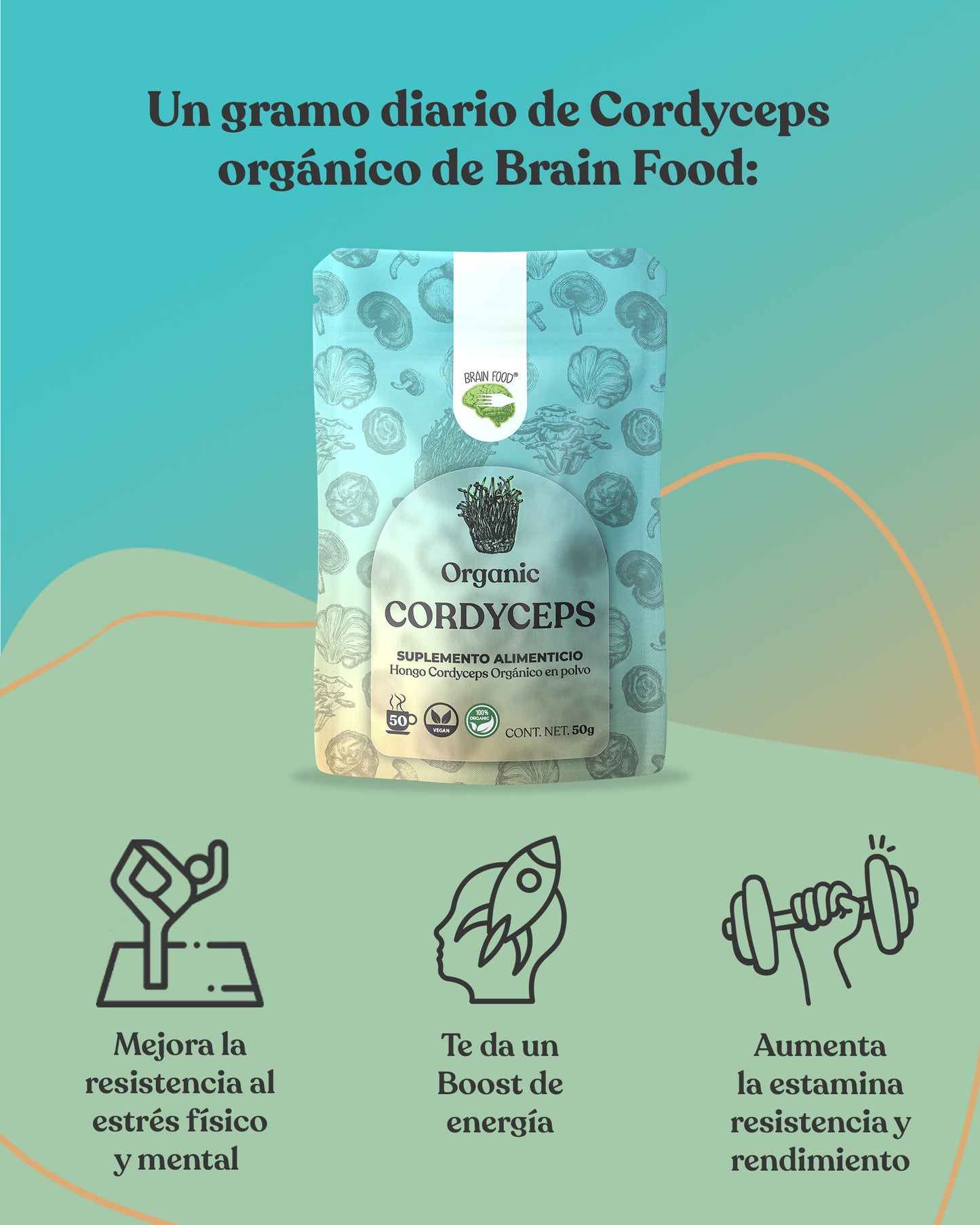 Cordyceps
